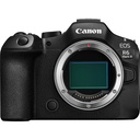 Canon EOS R6 III Body Only - Rental